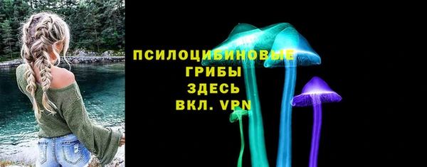 крисы Вязники