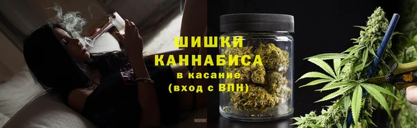 крисы Вязники