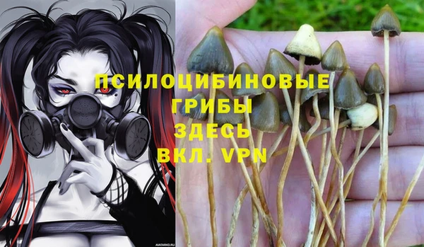 крисы Вязники