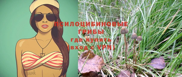хмурый Вяземский