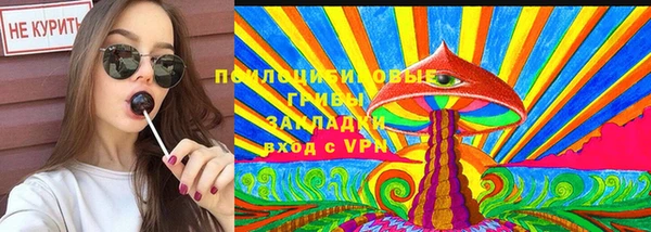 крисы Вязники