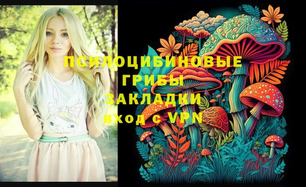 хмурый Вяземский