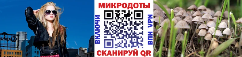 Галлюциногенные грибы мухоморы  MEGA онион  Тихорецк 