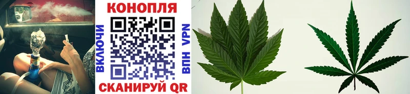 Марихуана конопля  mega как войти  Тихорецк  купить  цена 